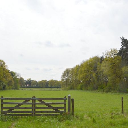 Lovely Holiday Home In Limburg Amid Lush Forest Stramproy Zewnętrze zdjęcie