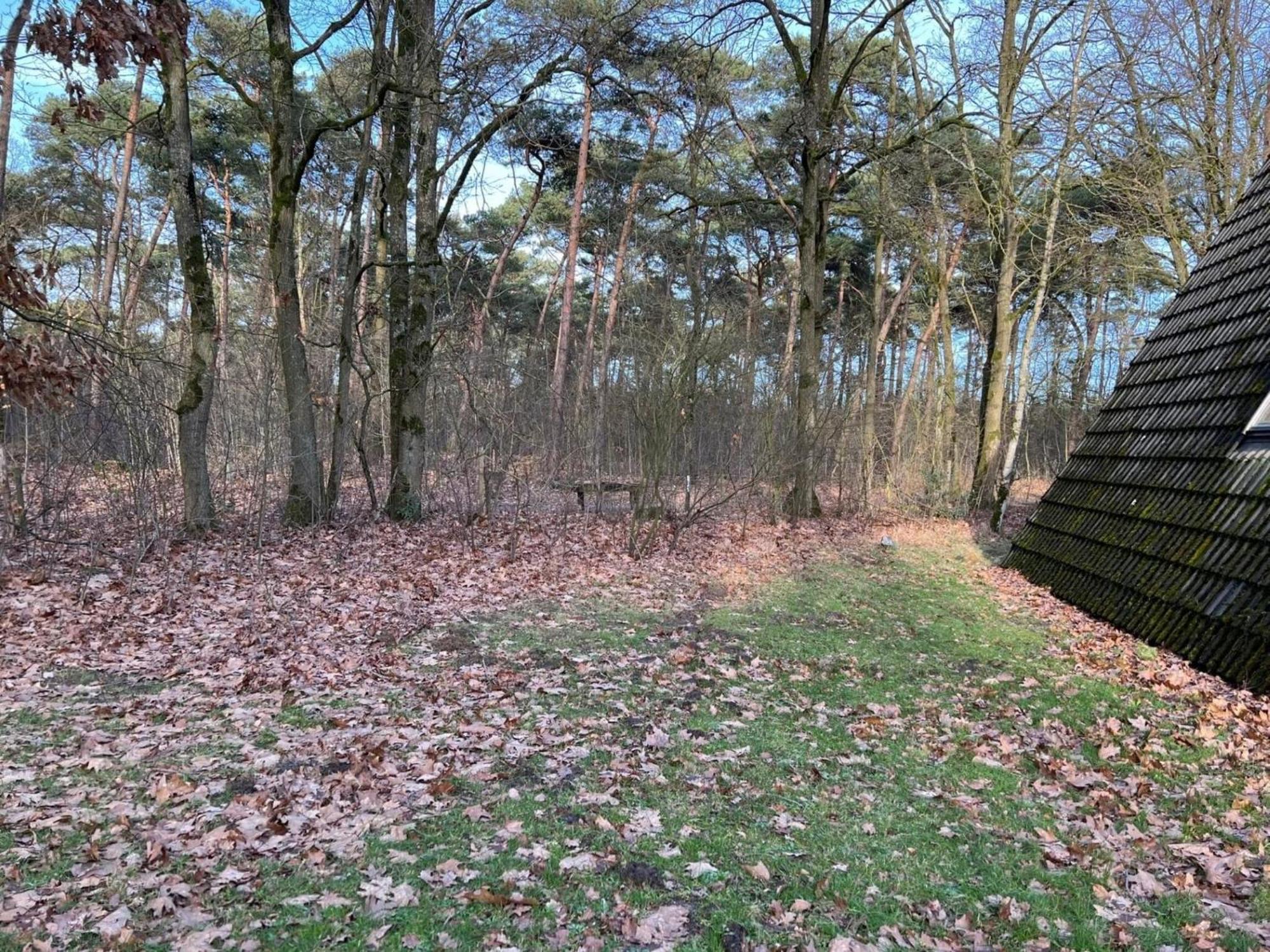 Lovely Holiday Home In Limburg Amid Lush Forest Stramproy Zewnętrze zdjęcie