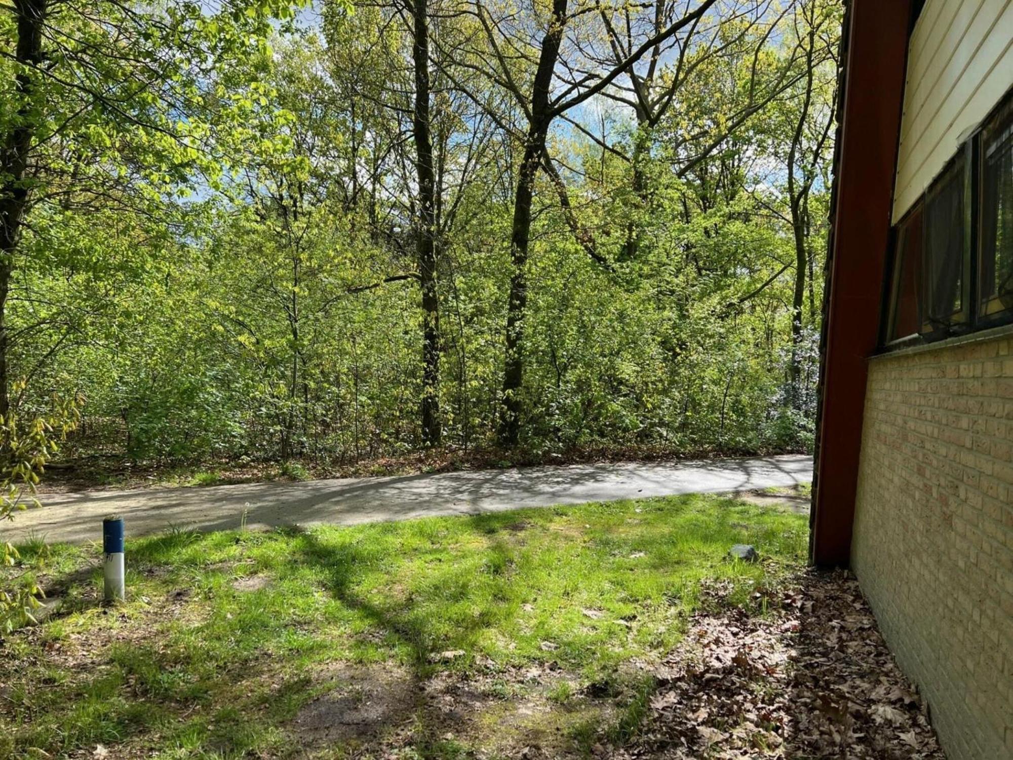 Lovely Holiday Home In Limburg Amid Lush Forest Stramproy Zewnętrze zdjęcie