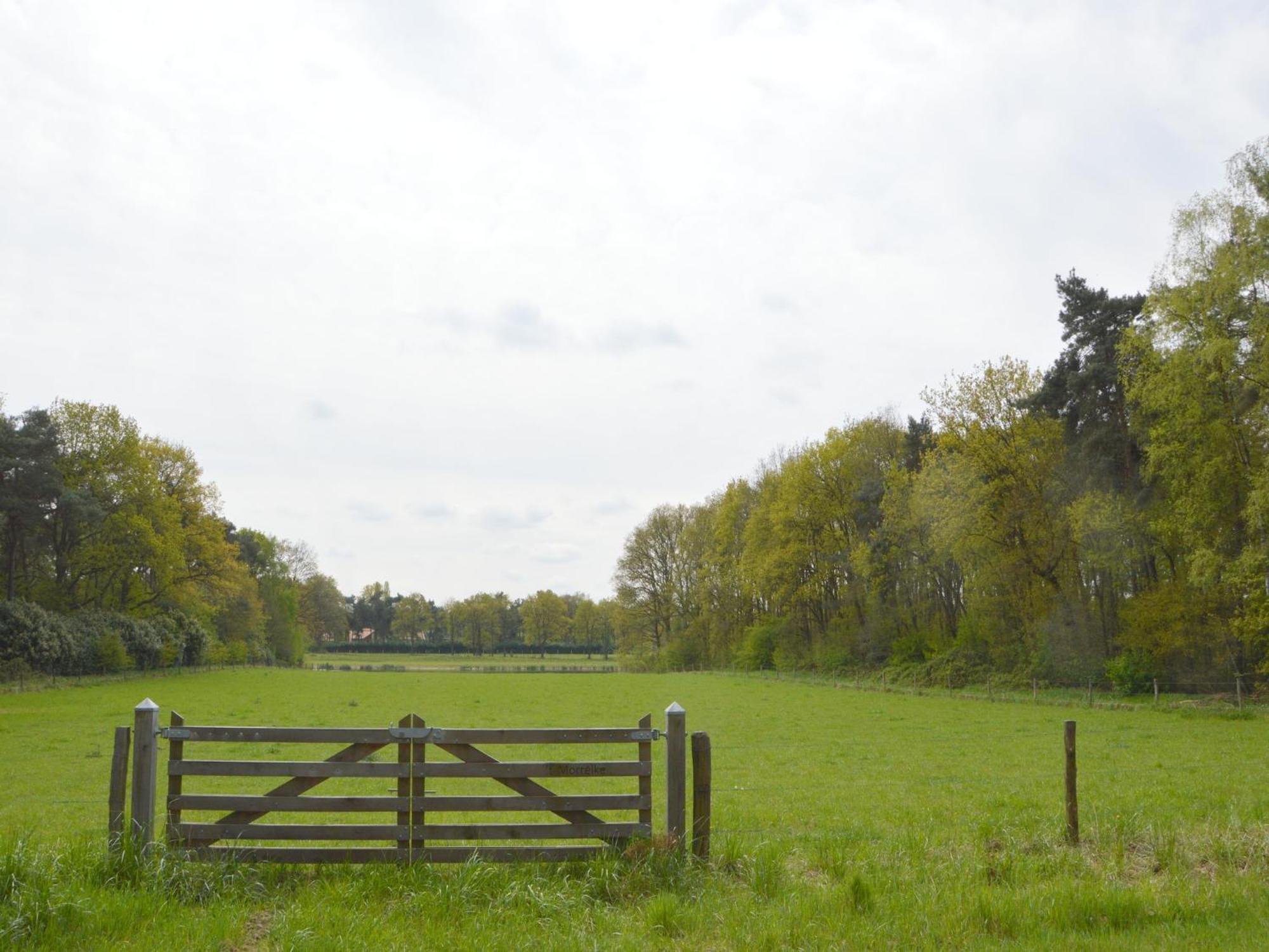 Lovely Holiday Home In Limburg Amid Lush Forest Stramproy Zewnętrze zdjęcie